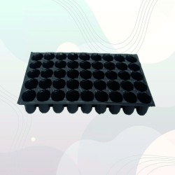 45 Gözlü Fide Viyolü