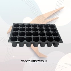 28 Gözlü Fide Viyolü