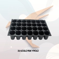 32 Gözlü Fide Viyolü