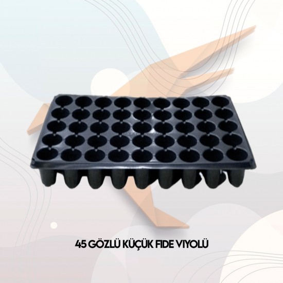 45 Gözlü Küçük Fide Viyolü